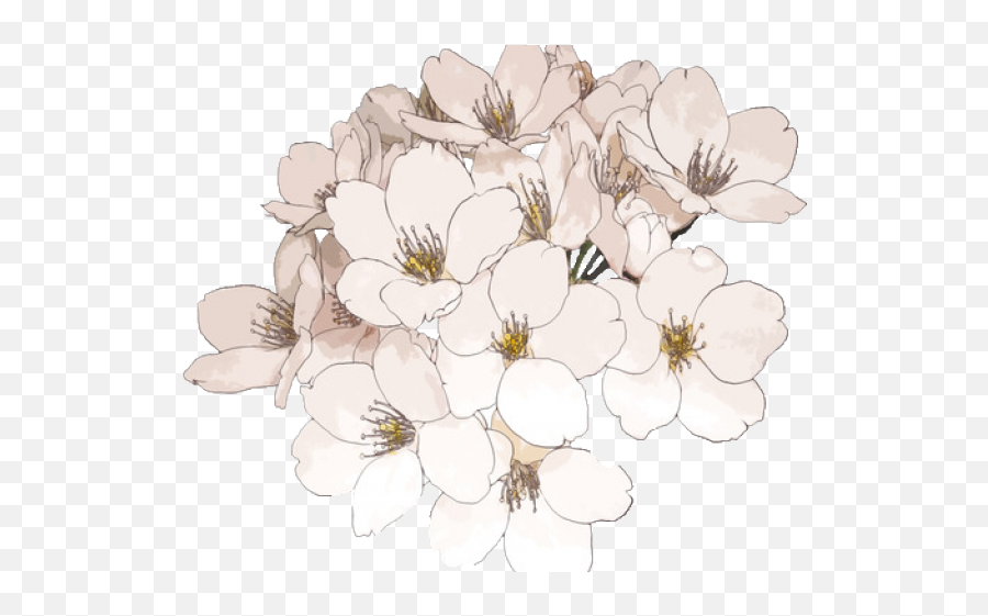 Cherry Blossom Clipart Transparent - Transparent Aesthetic Flowers Drawing Png,Transparent Flower Drawing Tumblr