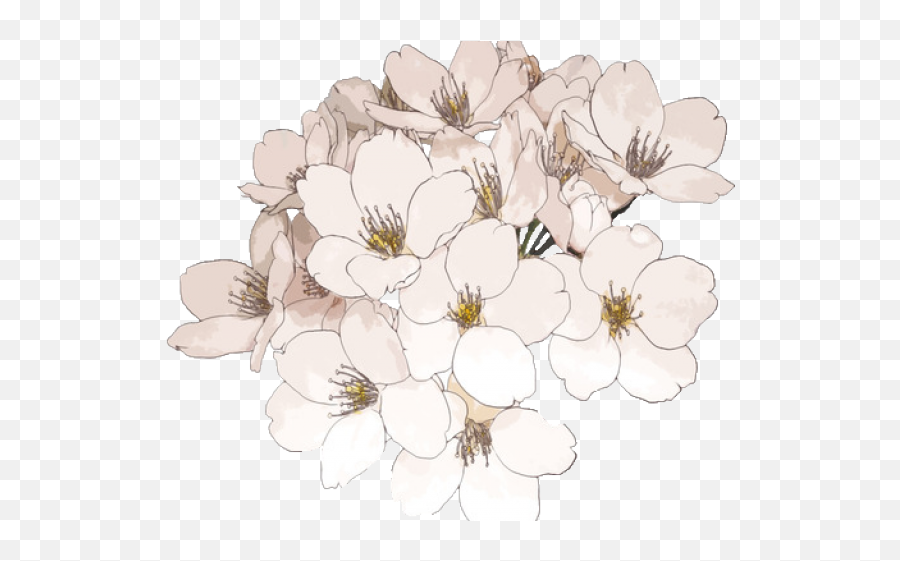 tumblr transparent flower drawing