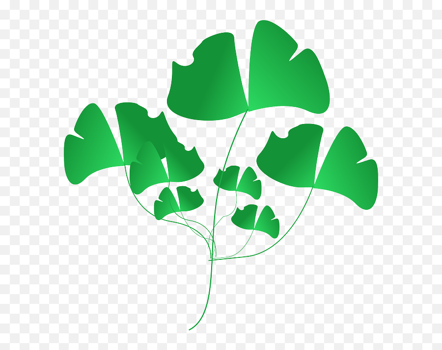 Plant Green Leaves Nature Weeds - Clip Art Png,Hanging Ivy Png