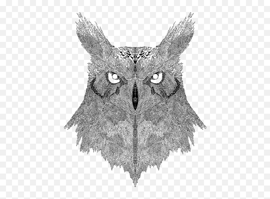 Download Notebook Design For Adult Swim - Eastern Screech Eastern Screech Owl Png,Adult Swim Logo Png