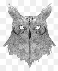 Download Notebook Design For Adult Swim - Eastern Screech Owl png