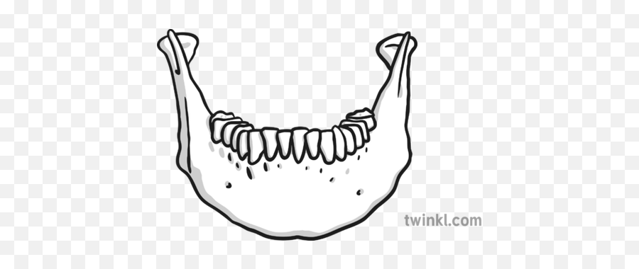 Jawbone Black And White Illustration - Canine Tooth Png,Jawbone Icon Series The Catch