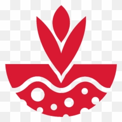Department Of Agronomy And Horticulture Nebraska - Language png