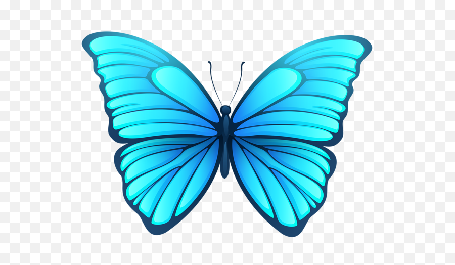 Png Image With Transparent Background - Transparent Background Butterfly Clipart,Butterfly Transparent