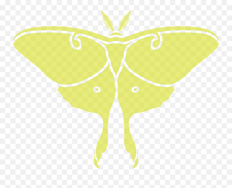 Ada - Luna Moth Png,Moth Icon