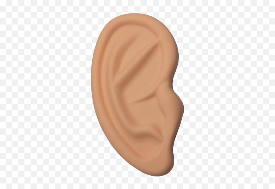 Ear Png Image Free Download - Wood,Ear Png