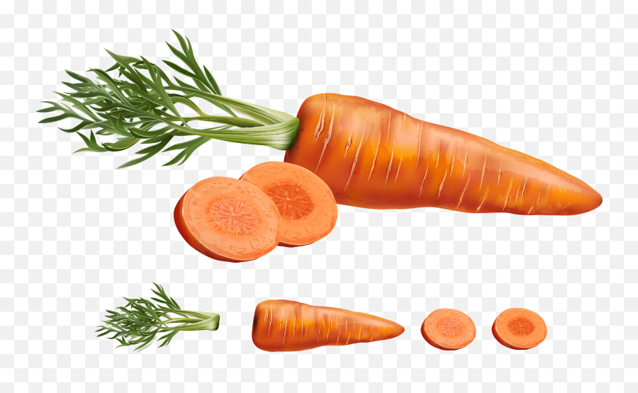 Download Carrot Juice Vegetable Carrots - Sketch Realistic Carrot Drawing Png,Carrots Png