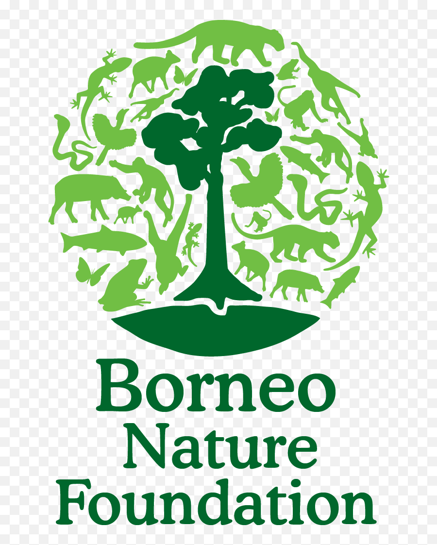 Bnf Logo - 01 Borneo Nature Foundation Borneo Nature Foundation Conservation Png,Nature Logo