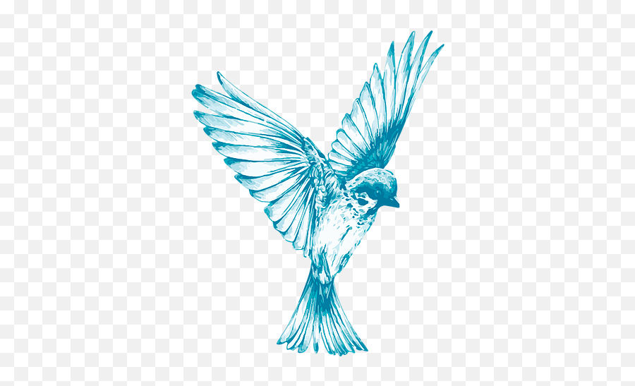 Home Bluebird Inventories - Bird In Flight Black And White Png,Blue Bird Png