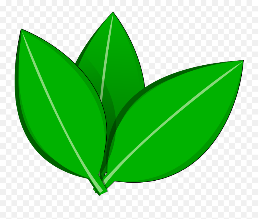 Leave Vector Png 4 Image - Vector Tree Leaf Png,Leave Png
