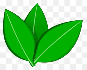 Leave Vector Png 4 Image - Vector Tree Leaf Png,Leave Png