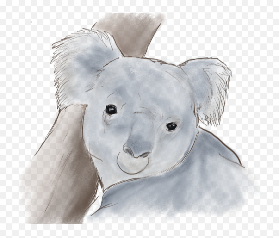 Watercolor Koala Clipart - Koala Png,Koala Transparent