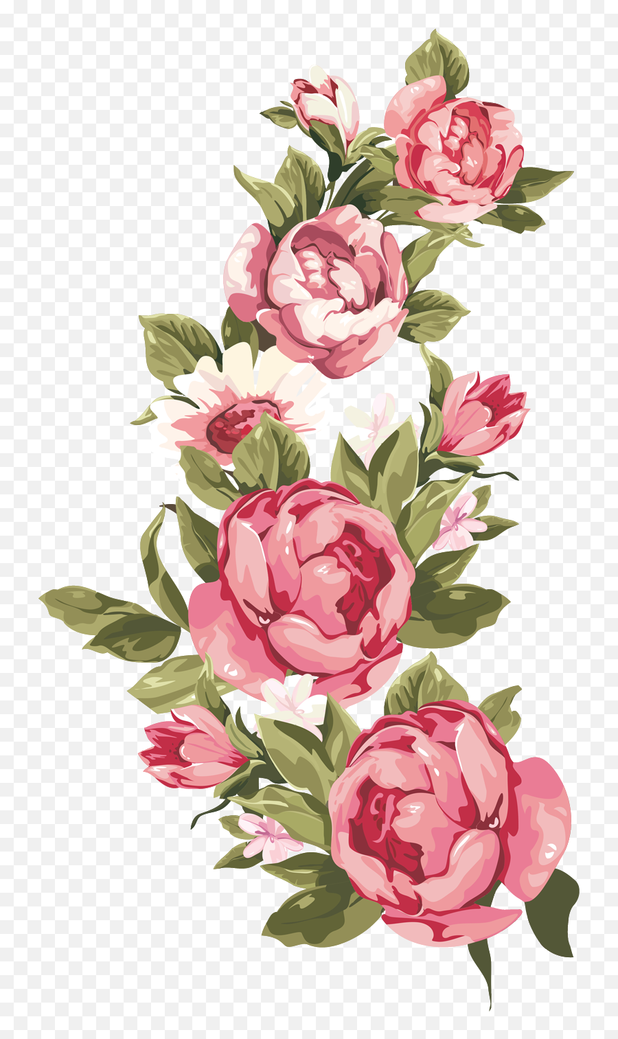 Library Of Peony Flower Png Free - Vintage Text Box Png,Peonies Png - free  transparent png images 