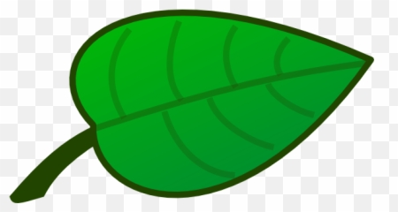 Flower Leaf Clip Art - Large Clipart png