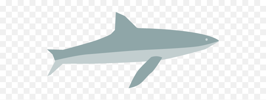 Shark Clip Art Material Free Illustration Image - Wholphin Png,Shark Clipart Png