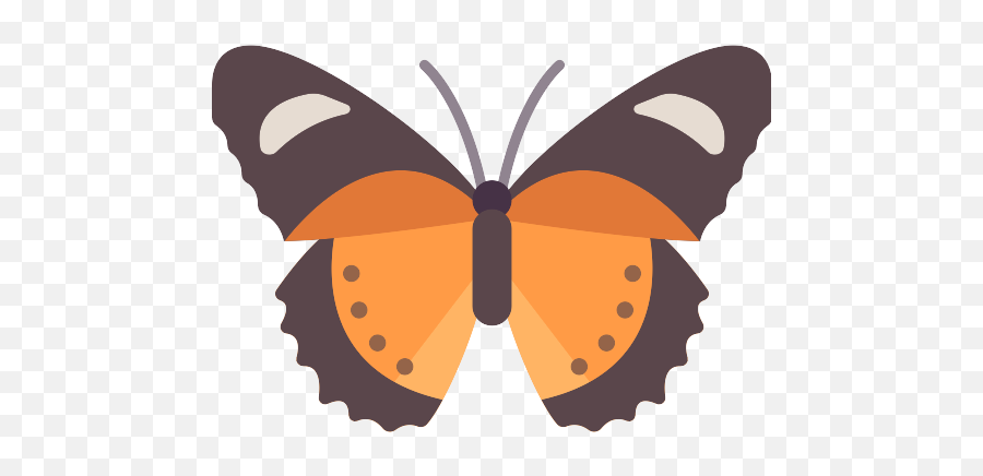 Butterfly Png Icon 196 - Png Repo Free Png Icons Photograph,Butterfly Png Images