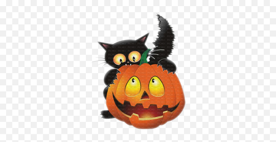 Download Black Cat Halloween Pumpkin Chat Noir - Halloween Pumpkins Halloween Clipart Png,Halloween Pumpkin Transparent