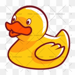 Duck Goose Swan Bird Png Image With Transparent Background - Infant,Ducks Png