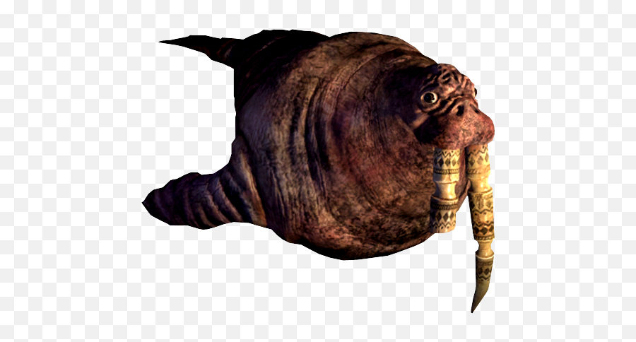 Alice Wiki - Alice Madness Returns Walrus And Carpenter Png,Walrus Png