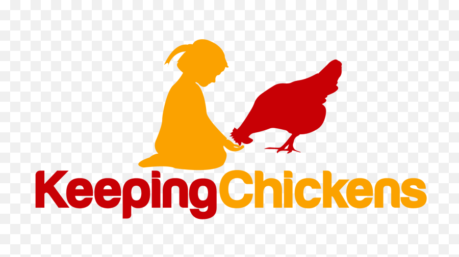 Keeping Chickens - Chicken Png,Chickens Png