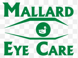 Eye Care Experts In Spring Hill Tn - Graphic Design png