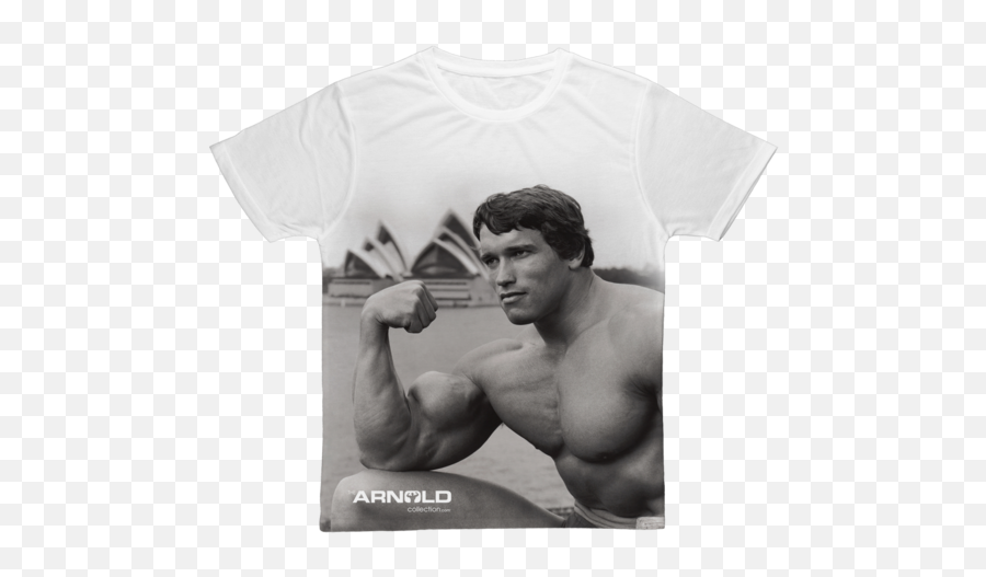 Arnold Schwarzenegger Body Hd - Arnold Biceps Memes Png,Arnold Schwarzenegger Png