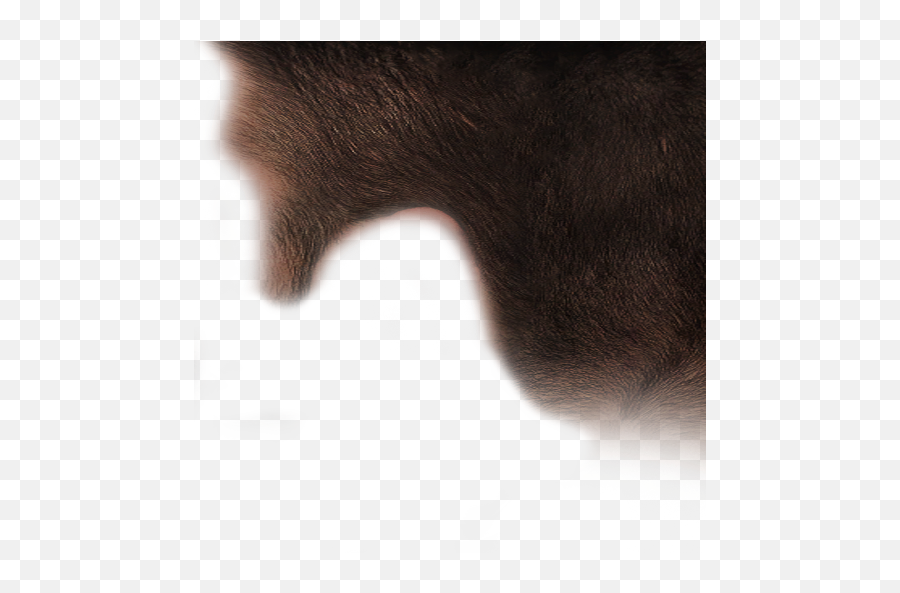 Almost Forgot But There Is A Hair - Hair Design Png,Hair Texture Png