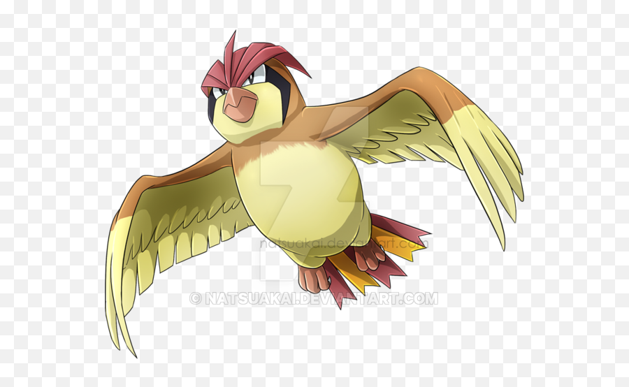 Pigiotto - Pidgeotto Png,Pidgey Png