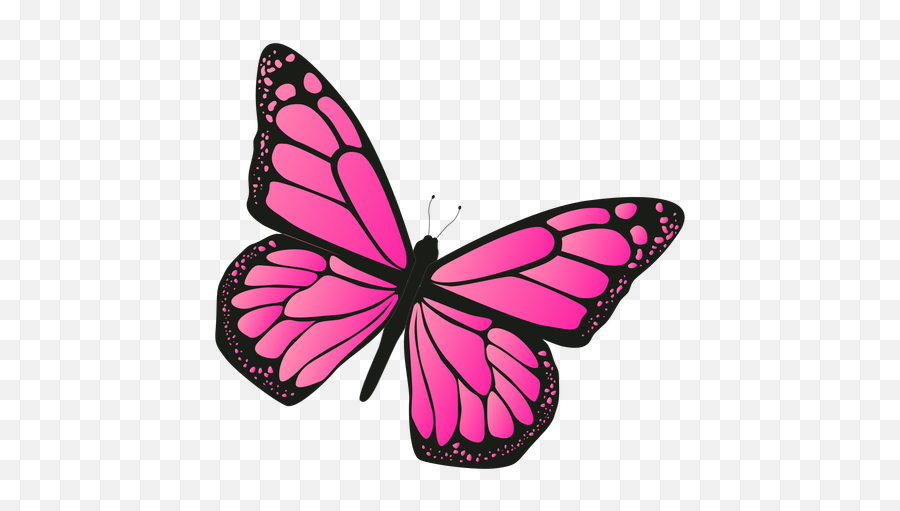 Detailed Pink Butterfly Vector - Transparent Png U0026 Svg Borboleta Png,Butterflies Transparent