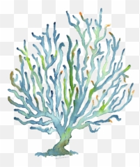 Blue Coral Round Beach Towel For Sale - Watercolor Painting png