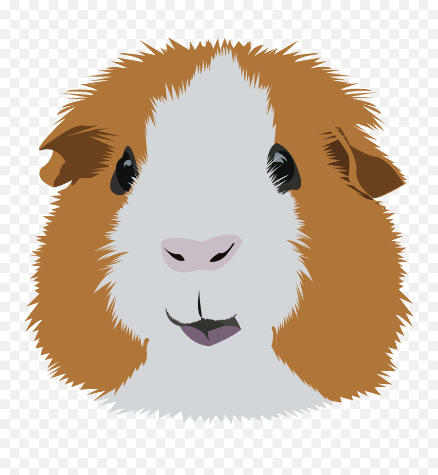 Pin - Illustration Guinea Pig Drawing Cute Png,Guinea Pig Png