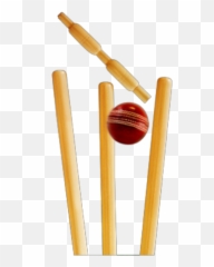 Stumps Png Transparent Images - Cricket Wicket Stumps Png,Stump Png