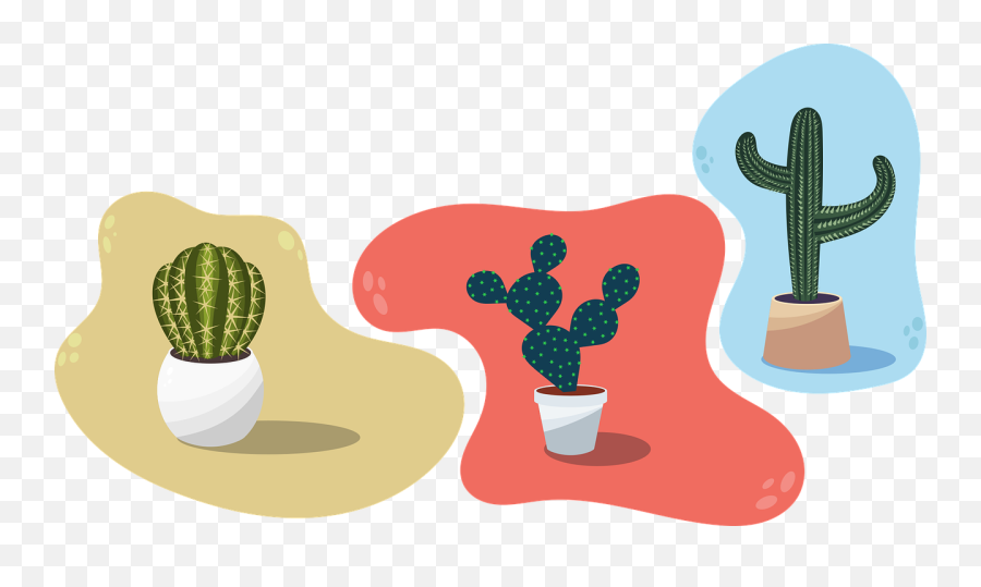 Vector Cacti Cactus Succulent - Vectores De Cactus Png,Cacti Png