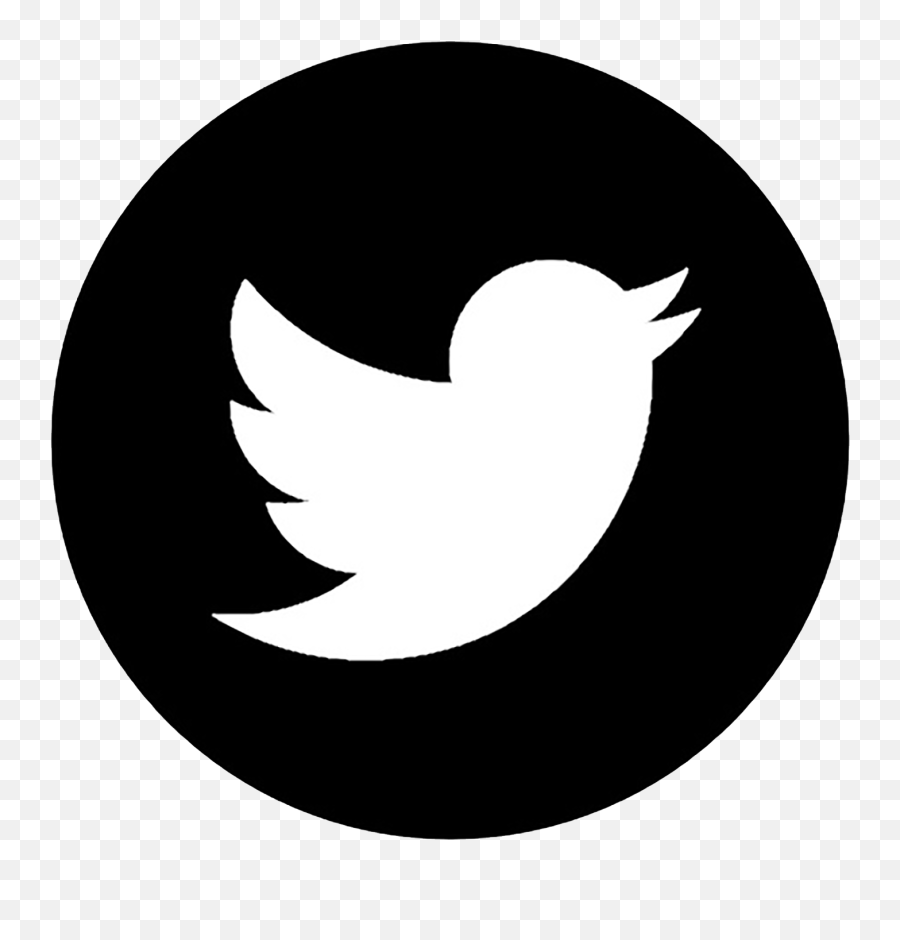 John Damato Biography - Transparent Twitter Icon Grey Png,Biography Icon