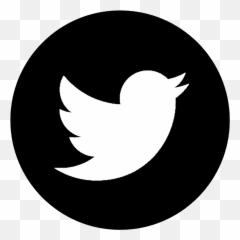 John Damato Biography - Transparent Twitter Icon Grey png