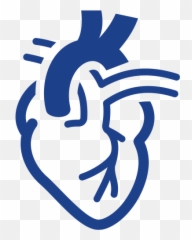 Surgical Services Png