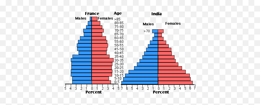 Age Pyramids Population Calculations - Charts Below Compare The Age Structure Png,Population Growth Icon