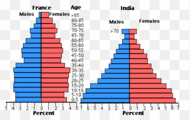 Age Pyramids Population Calculations - Charts Below Compare The Structure png