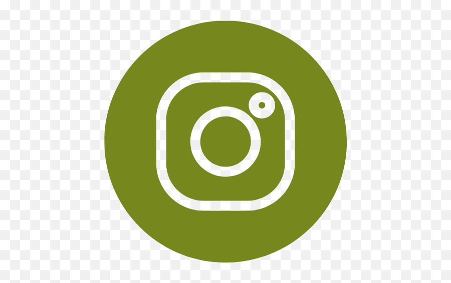 Alumni Engagement And Giving Point Park University - Logo De Instagram Verde Png,Official Instagram Icon Vector