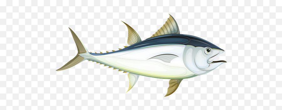Free Photo Clipart Icon Sea Fish Cartoon Sign Water - Max Pixel Fish Gills Diagram Png,Tuna Icon