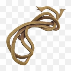 Stringy Twine - Fortnite Save The World Twine Png,Twine Png
