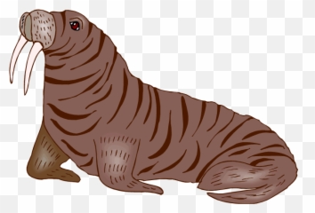 Walrus Clipart - 60 Cliparts Transparent Background Walrus Clipart Png,Animal Clipart Png