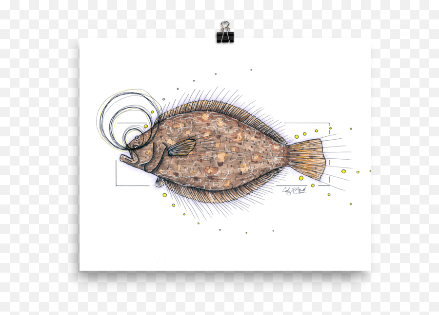 Flounder Gulf Inshore Slam 3 Of - Sole Png,Flounder Png