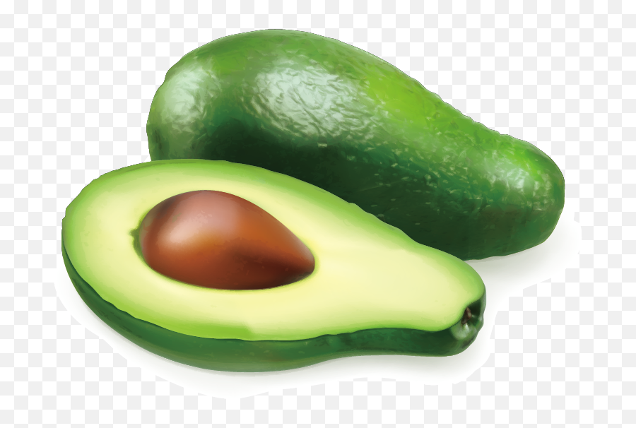 Avocado Auglis Illustration - Vector Avocado Png Download Single Vegetables Images Hd,Avocado Transparent Background