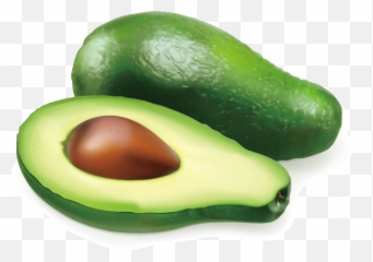 Avocado Auglis Illustration - Vector Avocado Png Download Single Vegetables Images Hd,Avocado Transparent Background