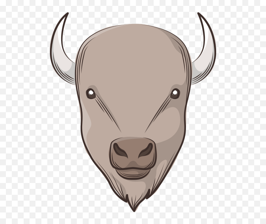 Buffalo - Bison Face Png,Bison Png
