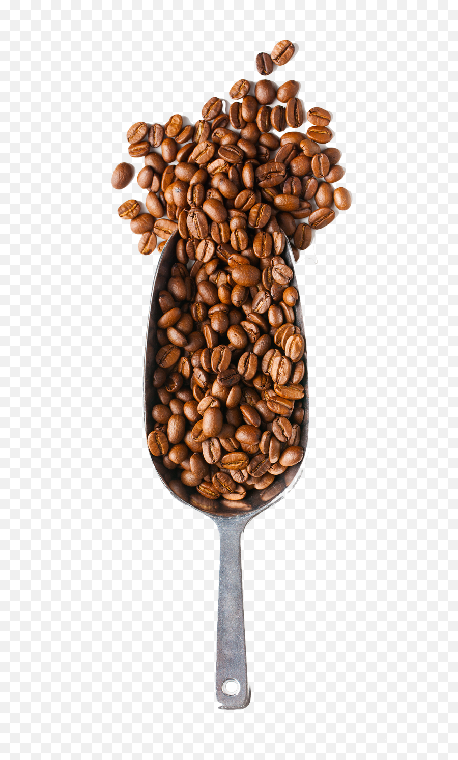 Download Coffee Time - Coffee Beans And Spoon Png Png Image Coffee Beans Spoon Png,Coffee Bean Vector Png