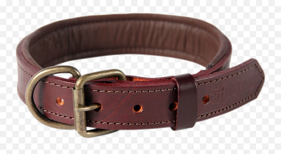 Brown Leather Dog Collar Picture - Brown Leather Collars Dog Png,Collar Png