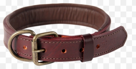 Brown Leather Dog Collar Picture - Brown Leather Collars Dog Png,Collar Png