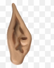 Ears Png 7 Image - Elf